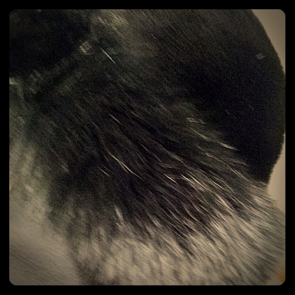 Mink and fox hat.